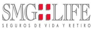 smg-life